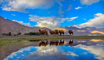 9 Days delhi to leh Family Holiday Package