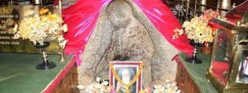 Family Getaway 7 Days 6 Nights pangong lake Honeymoon Vacation Package