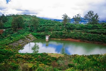 Mysore Ooty Tour Packages