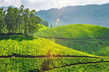 Family Getaway 5 Days 4 Nights bandipur Holiday Package