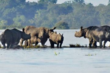 Experience cherrapunjee Tour Package for 5 Days 4 Nights