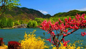 Amazing 6 Days 5 Nights kashmir, pahalgam and gulmarg Holiday Package