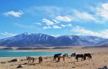 Family Getaway 8 Days 7 Nights nubra Friends Vacation Package