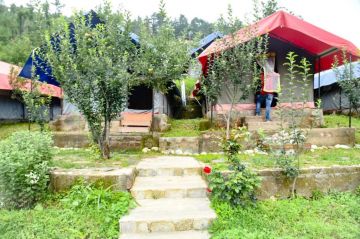 Ecstatic Shimla 4 Nights 5 Days Tour Package