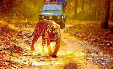 Magical 2 Days 1 Night khajuraho with panna Friends Trip Package