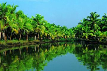 Ecstatic munnar Tour Package for 7 Days 6 Nights