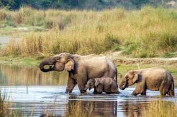 Experience 7 Days 6 Nights pokhara Holiday Package