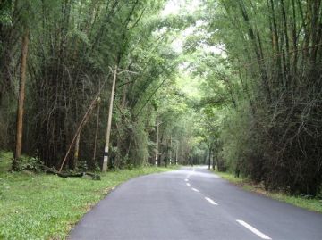 5 Days 4 Nights cochin, munnar, thekkady and alleppey Wildlife Trip Package