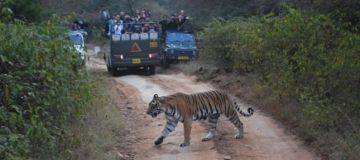 5 Days 4 Nights cochin, munnar, thekkady and alleppey Wildlife Trip Package