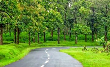Amazing 5 Days 4 Nights thekkady Beach Vacation Package