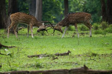 Family Getaway 3 Days 2 Nights nagpur Luxury Vacation Package