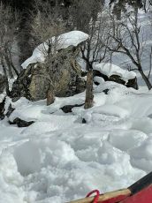 Pleasurable 4 Days 3 Nights manali Hill Stations Trip Package