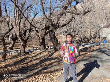 Memorable 6 Days 5 Nights kathmandu, pokhara nepal and jomsom Trip Package