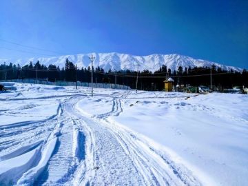 Best 3 Days 2 Nights gulmarg and srinagar Trip Package
