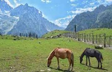 Best 4 Days 3 Nights srinagar with sonmarg Trip Package