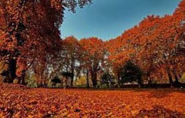 Ecstatic katra Tour Package for 3 Days 2 Nights