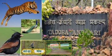 Amazing 3 Days 2 Nights tadoba Family Holiday Package
