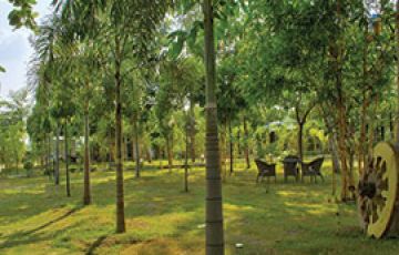 Amazing 3 Days 2 Nights tadoba Family Holiday Package