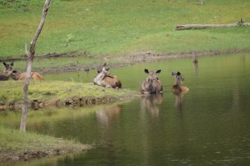 Family Getaway 3 Days 2 Nights nagpur Luxury Vacation Package