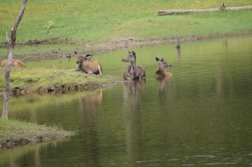 Family Getaway 3 Days 2 Nights nagpur Luxury Vacation Package