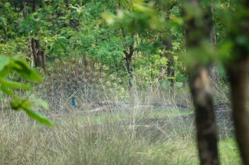 Family Getaway 3 Days 2 Nights nagpur Luxury Vacation Package