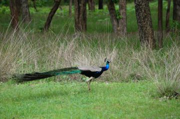 Family Getaway 3 Days 2 Nights nagpur Luxury Vacation Package