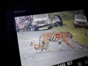 Magical 2 Days 1 Night tadoba Culture and Heritage Tour Package