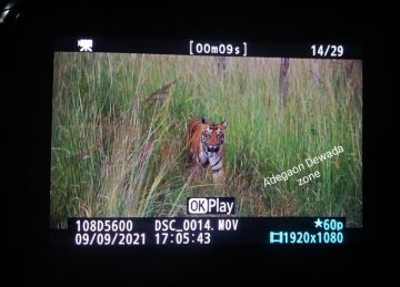 Magical 2 Days 1 Night tadoba Culture and Heritage Tour Package