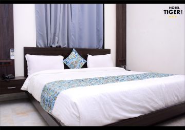 Magical 2 Days 1 Night tadoba Culture and Heritage Tour Package