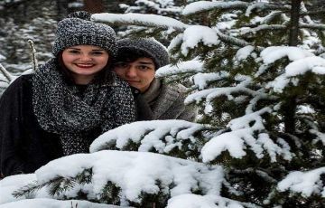 Best 4 Days 3 Nights chandigarh Hill Stations Tour Package