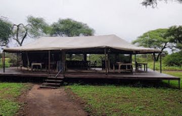 Experience 4 Days 3 Nights arusha Wildlife Vacation Package