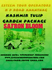 Best srinagar Nature Tour Package for 4 Days 3 Nights