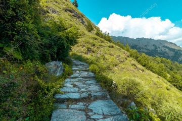 Uttarakhand Trek --> Rishikesh-Chopta - Tungnath  Chandrashila - Chopta - Rishikesh - Minimum 4 pax