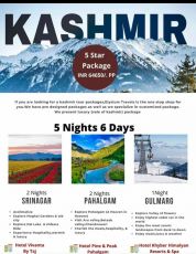 Kashmir Honeymoons Tours