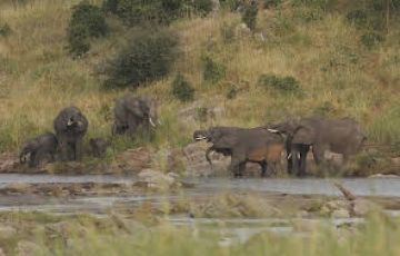 7 Days 6 Nights amboseli park Wildlife Vacation Package