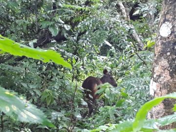 Memorable 7 Days kathmandu with Trip Package