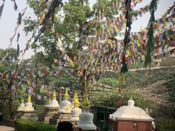 Memorable 7 Days kathmandu with Trip Package