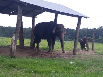 Memorable 7 Days kathmandu with Trip Package