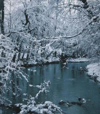 Ecstatic 6 Days srinagar to sonmarg Vacation Package