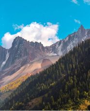 Best 5 Days srinagar to pahalgam Tour Package