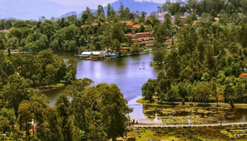 Kodaikanal Wildlife Tour Package for 7 Days