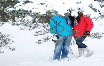 5 Days 4 Nights chandigarh to shimla Holiday Package