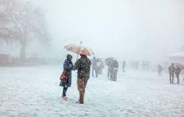 5 Days 4 Nights chandigarh to shimla Holiday Package