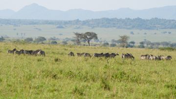 Experience 4 Days murchison falls national park Friends Holiday Package