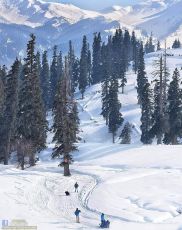 5 Days 4 Nights Gulmarg Tour Package