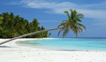 6 Days 5 Nights Port Blair to havelock island Tour Package