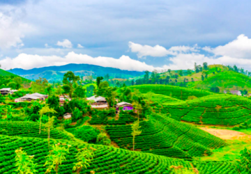 5 Days 4 Nights Darjeeling - Bagdogra to gangtok Holiday Package