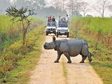 Heart-warming 3 Days 2 Nights kaziranga Honeymoon Trip Package