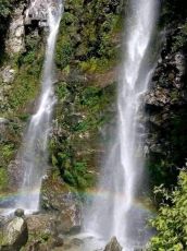 7 Days 6 Nights darjeeling to gangtok Vacation Package