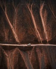 Magical 3 Days 2 Nights puri Vacation Package